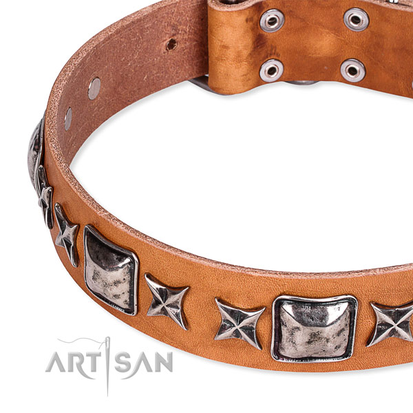 Comfy wearing embellished dog collar of top notch full grain natural leather