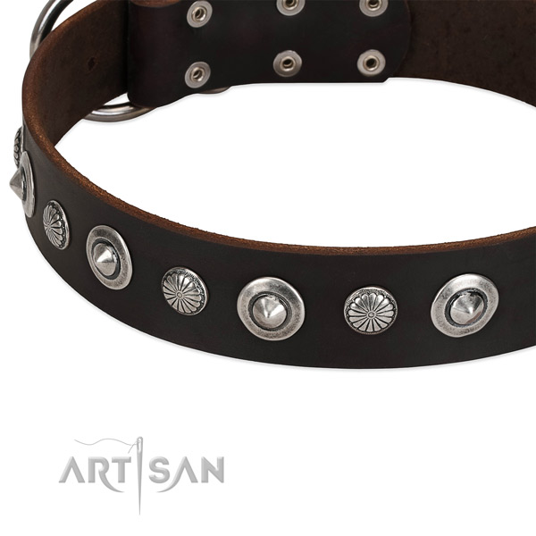 Trendy adorned dog collar of reliable full grain natural leather