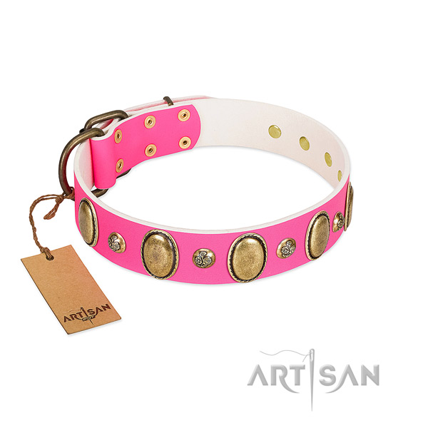Walking top rate genuine leather dog collar with studs