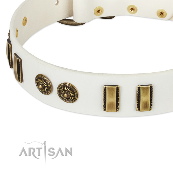 Durable decorations on leather dog collar for your four-legged friend
