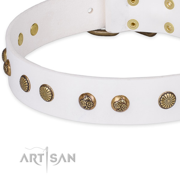 Genuine leather collar with strong fittings for your beautiful pet