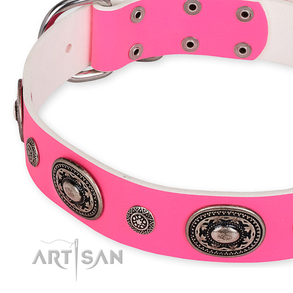 Full grain leather dog collar with top notch corrosion proof adornments