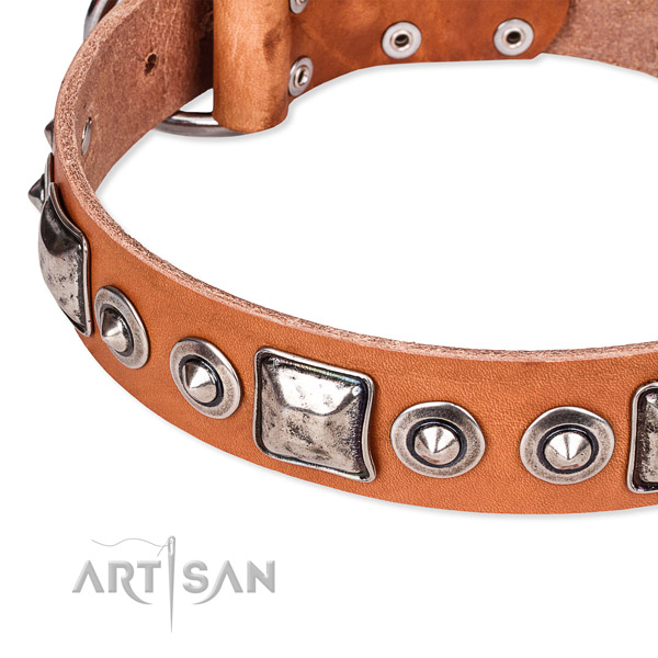 Quality leather dog collar handcrafted for your attractive pet