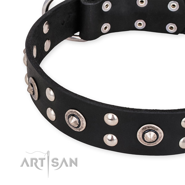 Full grain genuine leather collar with corrosion resistant hardware for your stylish four-legged friend