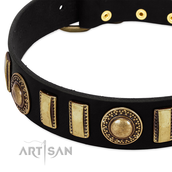Top rate genuine leather dog collar with corrosion proof traditional buckle