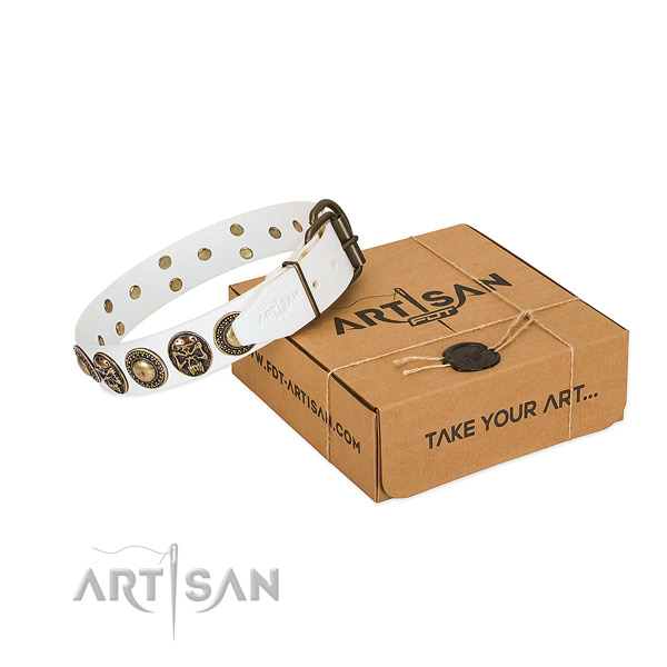 Rust-proof decorations on dog collar for everyday use