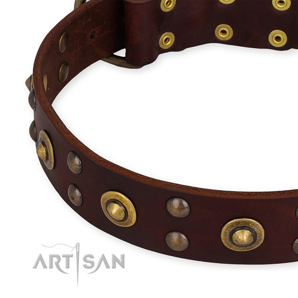 Genuine leather collar with strong fittings for your stylish pet