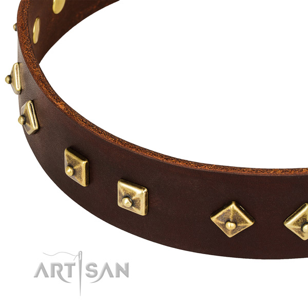 Stunning leather collar for your stylish canine