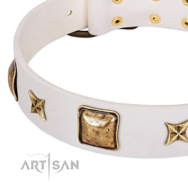 Reliable embellishments on full grain natural leather dog collar for your dog