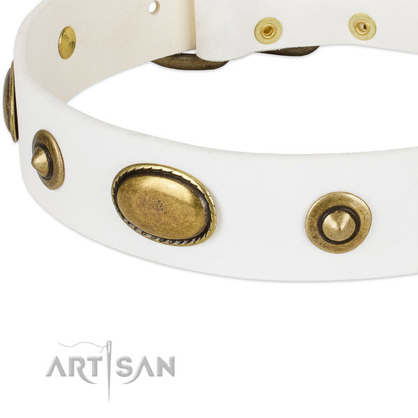 Durable embellishments on natural leather dog collar for your pet
