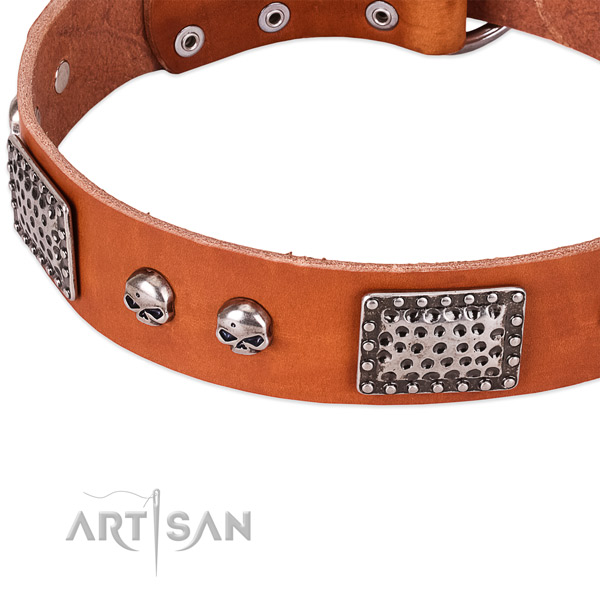 Rust-proof buckle on full grain genuine leather dog collar for your canine