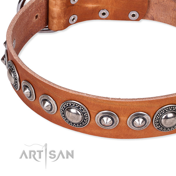 Everyday walking embellished dog collar of strong full grain leather