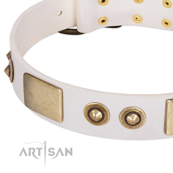 Rust-proof decorations on full grain genuine leather dog collar for your canine