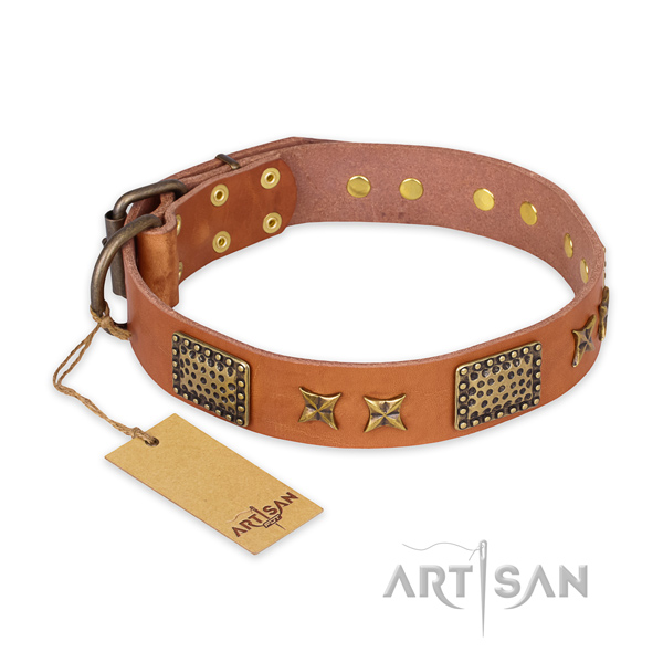 Unusual natural genuine leather dog collar with corrosion proof hardware