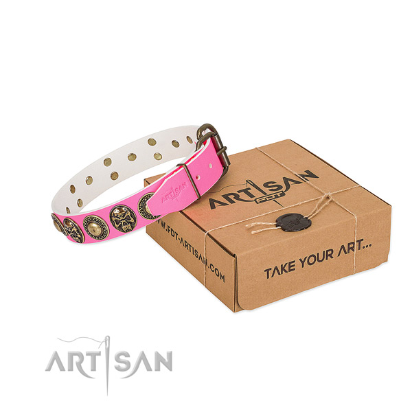 Durable traditional buckle on dog collar for easy wearing