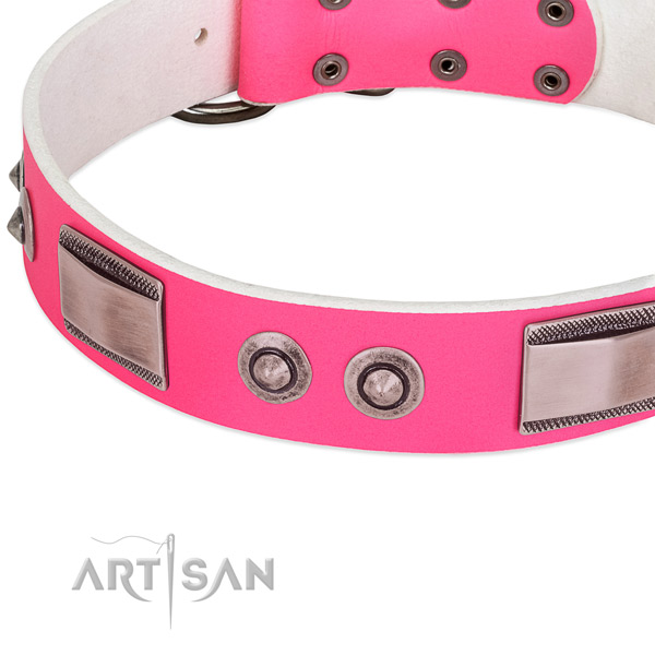 Fashionable leather collar with embellishments for your dog