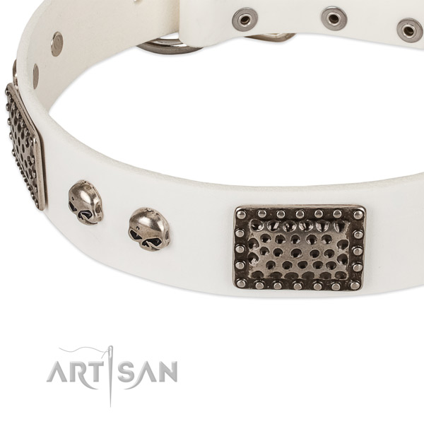 Corrosion proof traditional buckle on genuine leather dog collar for your doggie