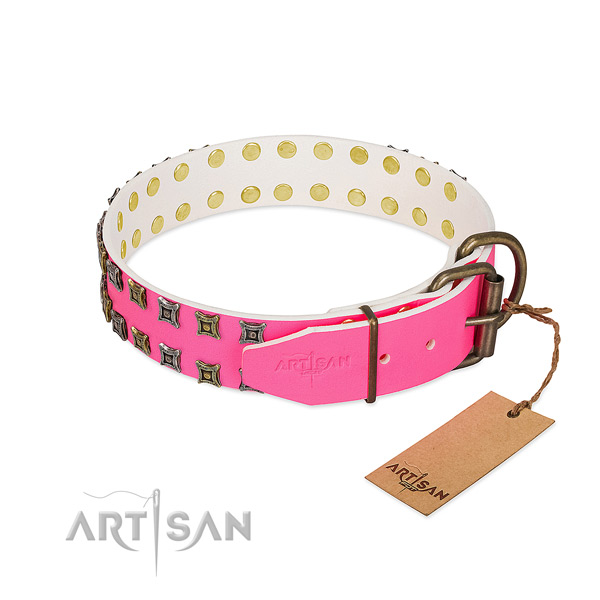 Full grain natural leather collar with inimitable embellishments for your pet