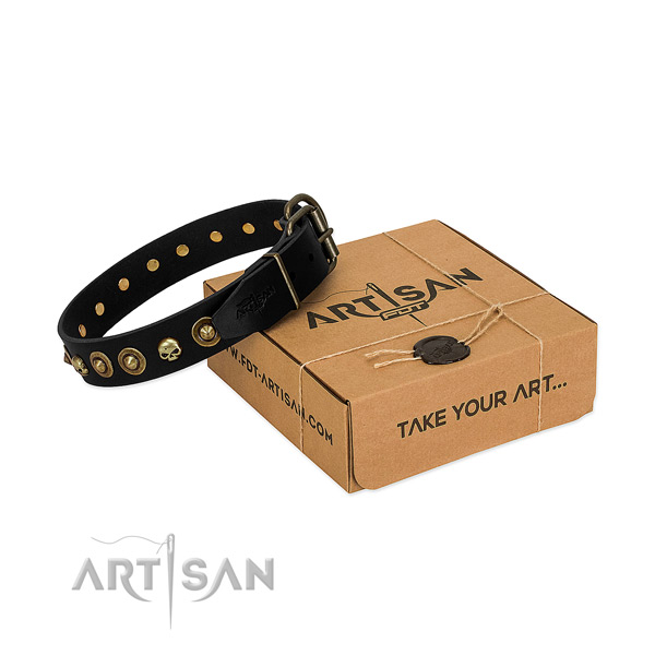 Natural leather collar with designer embellishments for your four-legged friend