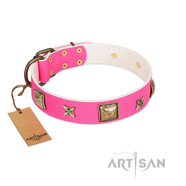 Genuine leather dog collar of quality material with awesome adornments