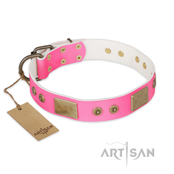 Easy to adjust full grain leather dog collar for walking your pet