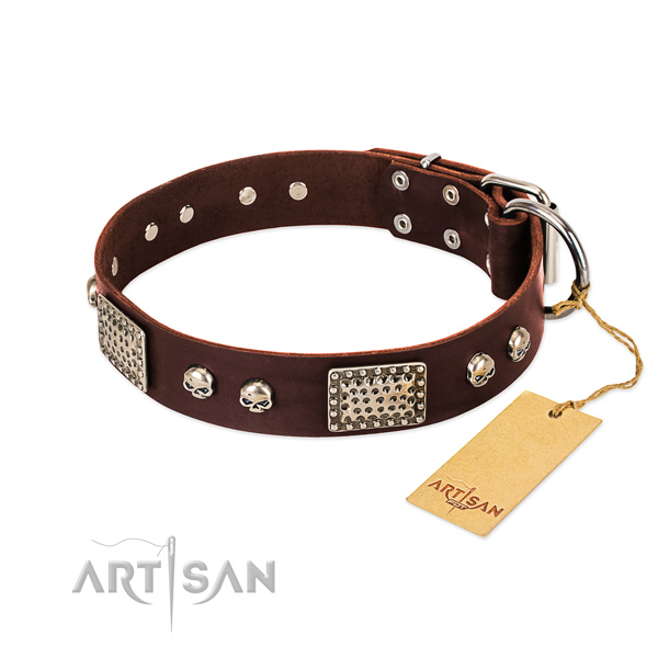 Easy wearing leather dog collar for stylish walking your four-legged friend