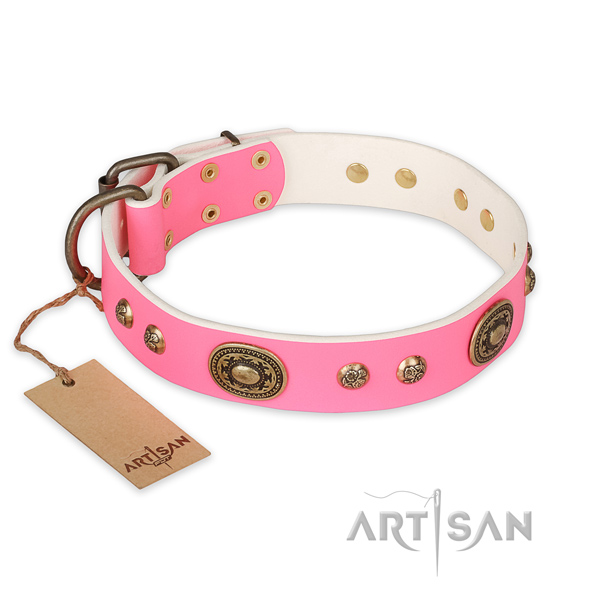 Adorned full grain leather dog collar for basic training
