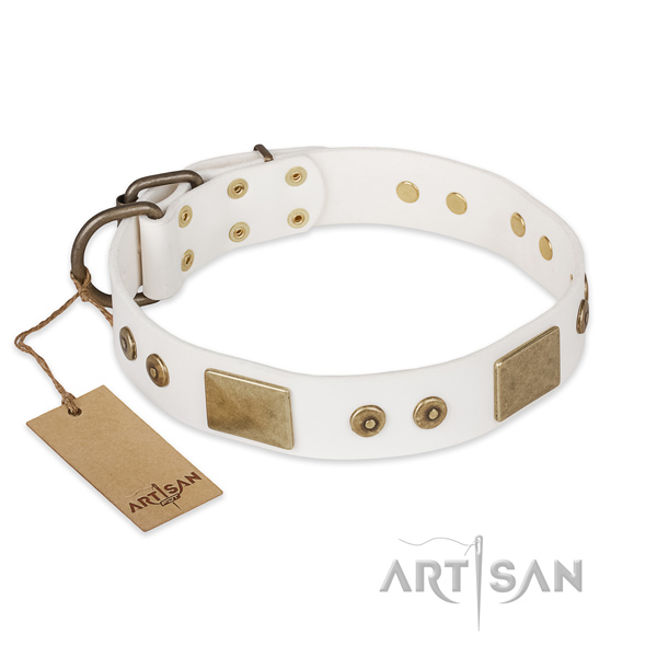 Easy to adjust full grain genuine leather dog collar for basic training