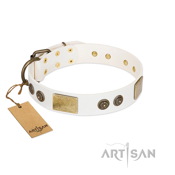 Exceptional natural genuine leather dog collar for everyday use