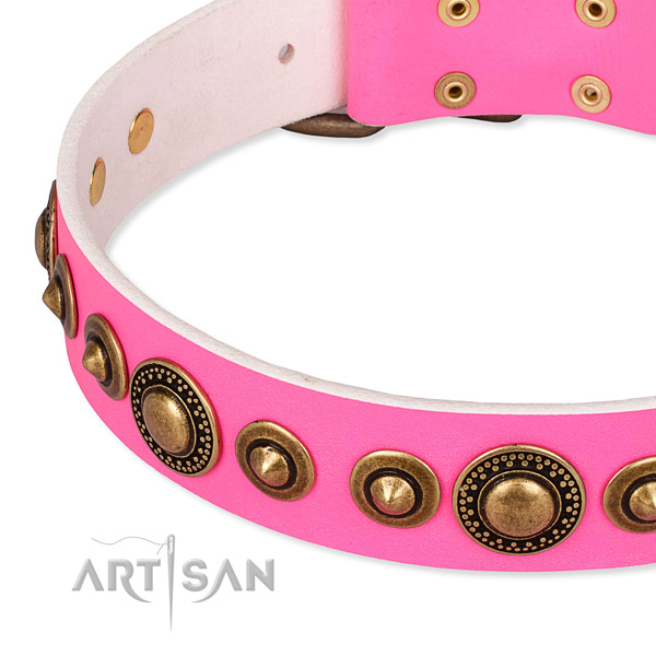 Flexible full grain natural leather dog collar handcrafted for your impressive canine