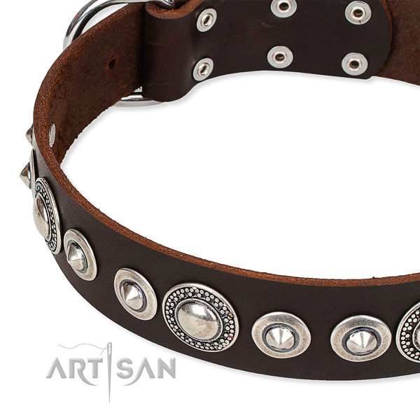 Everyday use embellished dog collar of fine quality full grain natural leather