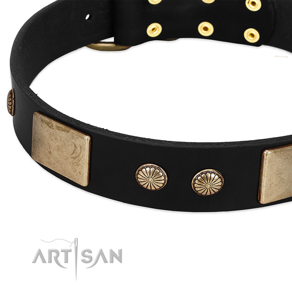 Full grain leather dog collar with decorations for handy use