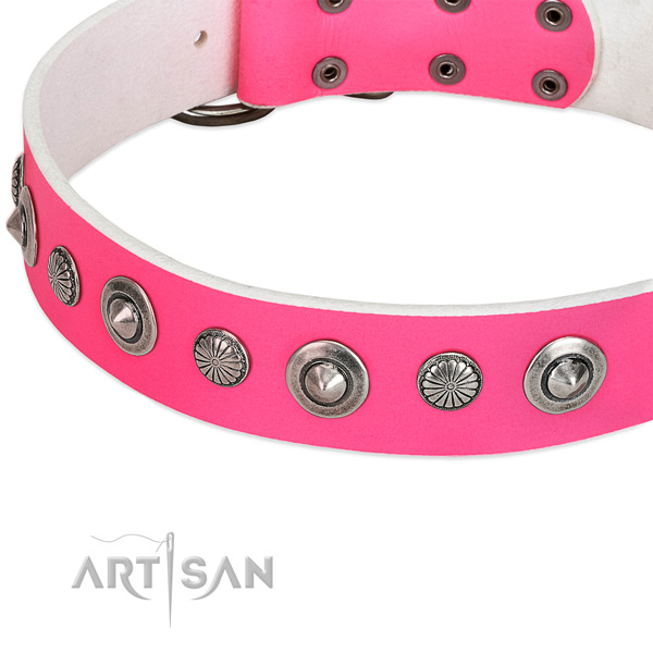Genuine leather collar with corrosion proof hardware for your beautiful dog