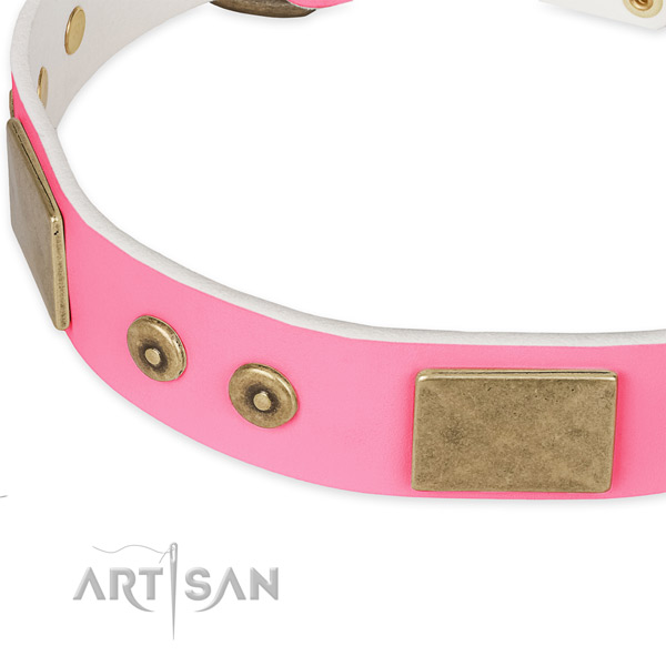 Genuine leather dog collar with embellishments for everyday use