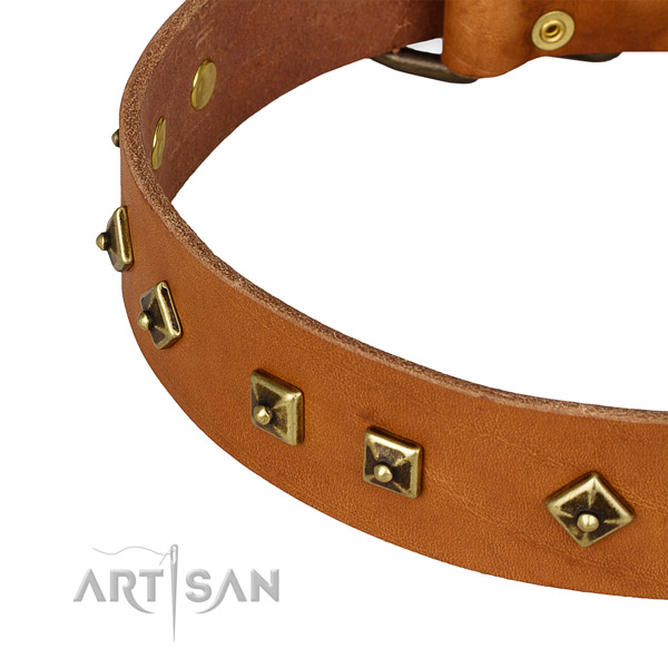 Remarkable genuine leather collar for your handsome four-legged friend