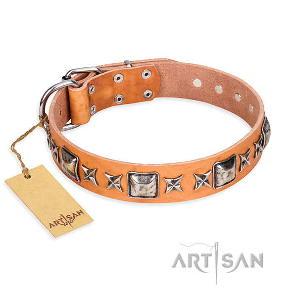 Fancy walking dog collar of best quality genuine leather with decorations