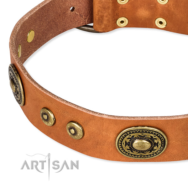 Genuine leather dog collar made of best quality material with adornments