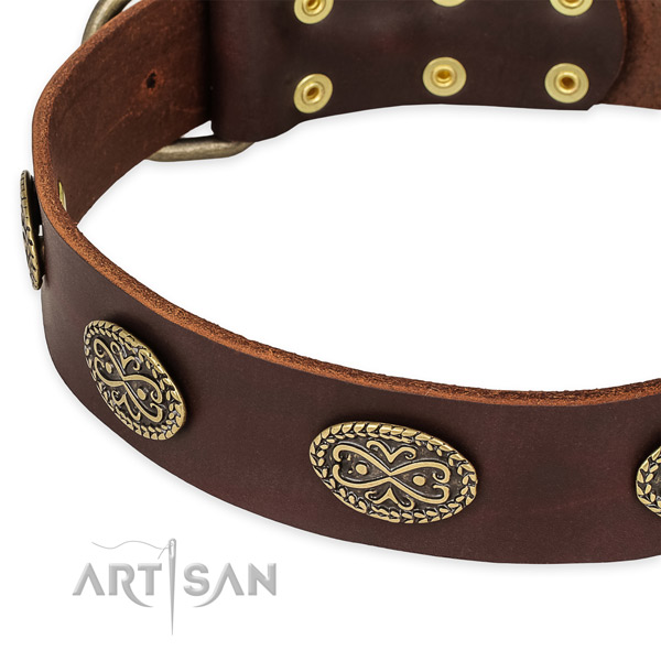 Studded full grain natural leather collar for your handsome doggie