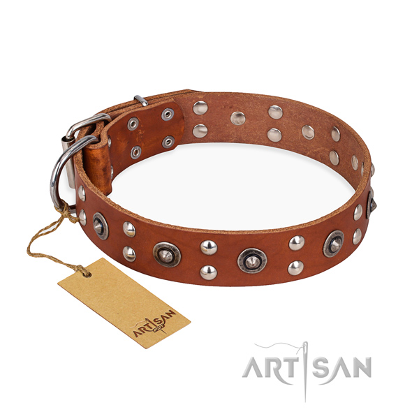 Walking fine quality dog collar with reliable traditional buckle