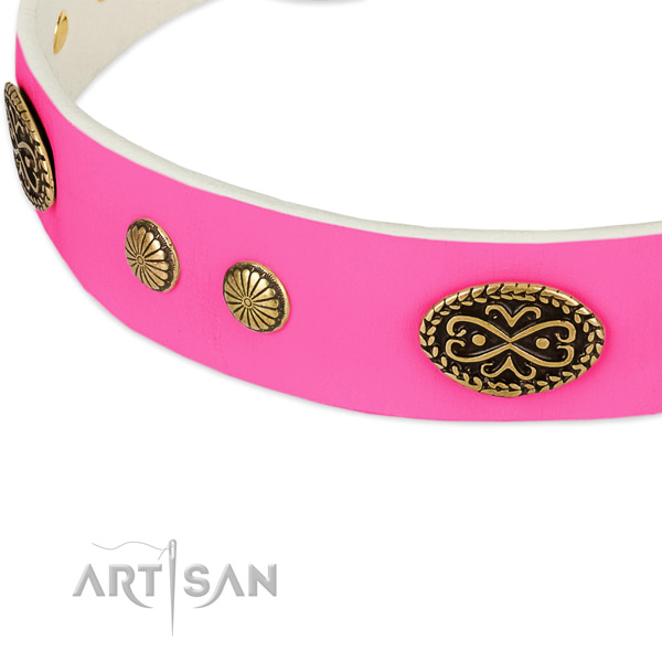 Corrosion proof decorations on leather dog collar for your doggie