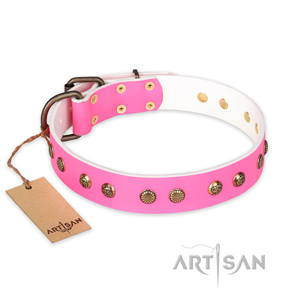 Impressive leather dog collar with durable D-ring