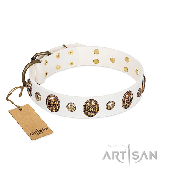 Top notch leather dog collar for fancy walking