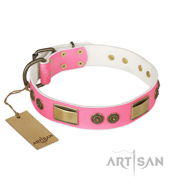 Stunning full grain leather dog collar for everyday walking
