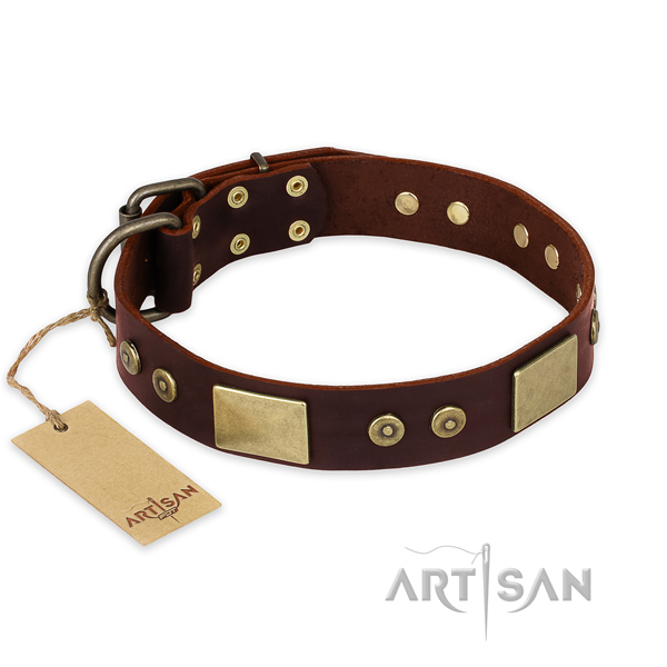 Stunning full grain leather dog collar for everyday walking