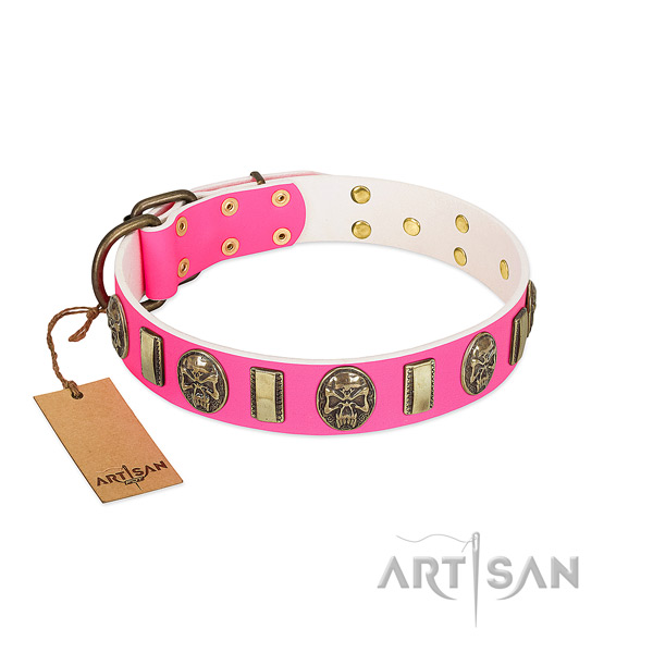 Reliable decorations on natural genuine leather dog collar for your canine
