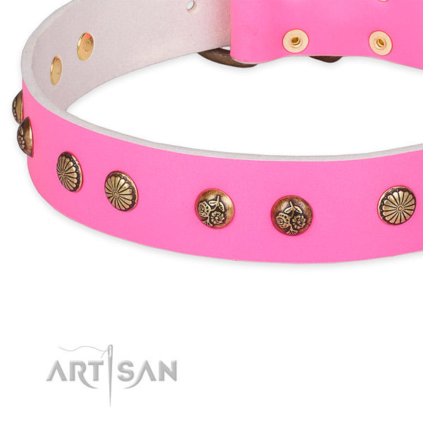 Full grain natural leather collar with strong hardware for your beautiful pet