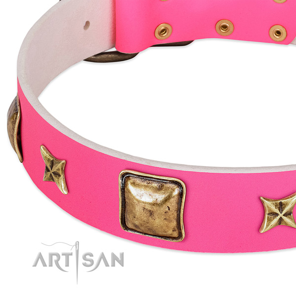 Full grain leather dog collar with amazing embellishments
