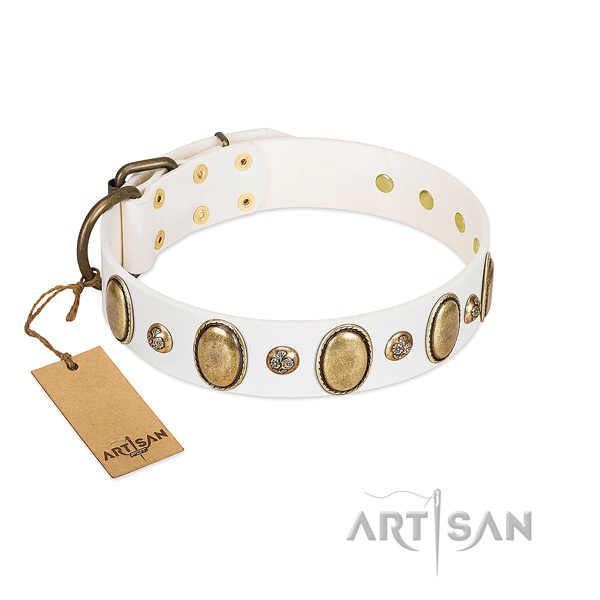 Leather dog collar of top notch material with top notch embellishments