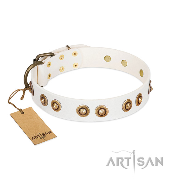 Decorated full grain leather collar for your pet