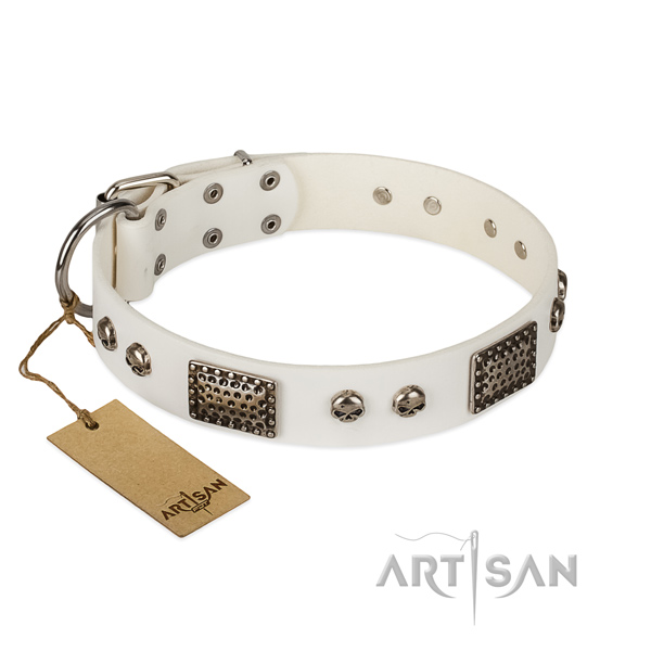 Easy to adjust full grain genuine leather dog collar for walking your dog
